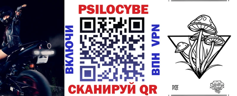 Купить  Арск  Галлюциногенные грибы Psilocybe 